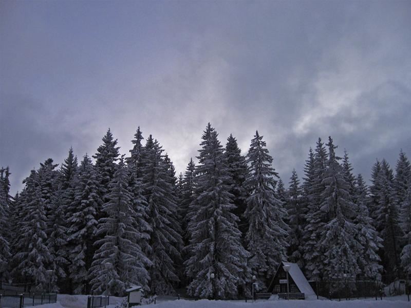 Impresii si Pareri Hoteluri Borovets